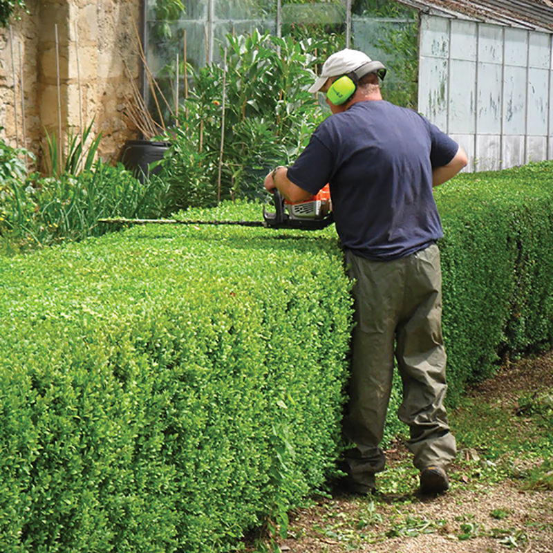 Tree, Hedge & Shrub Services | Owens Tree & Landscaping Services